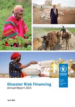 Disaster risk financing: Annual Report