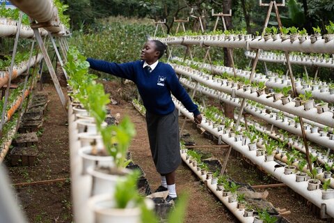A girl in school feeding garden