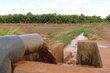 A solar-powered irrigation scheme in Kenya's drought-hit Garissa county. Photo: WFP/Martin Karimi