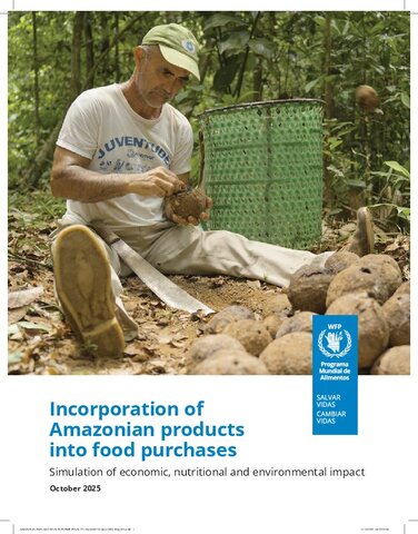https://docs.wfp.org/api/documents/WFP-0000170895/download/