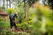 catherine-wangala-hoeing-field-2.jpg