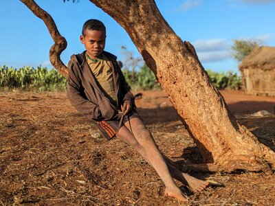 Photo: WFP A boy is sitting on a tree