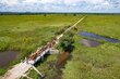 Lwizi bridge cows Michael Castofas