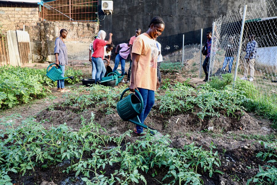 Students tend to a WFP-supported garden at Mariposa, a school for hearing- and speech-impaired learners in Bissau. Photo: WFP/Richard Mbouet &nbsp;