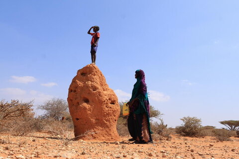 Somalia: Racing to reverse the hunger tide