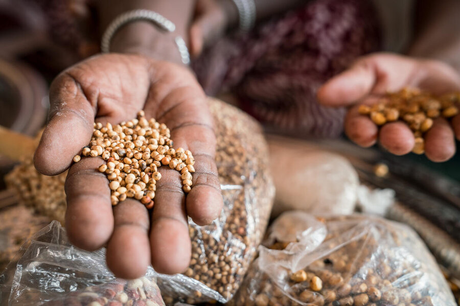 WFP's resilience-building programme in the Sahel is multi-pronged, and includes sensitizing local communities on the nutritional values of their crops. Photo: WFP/Evelyn Fey 