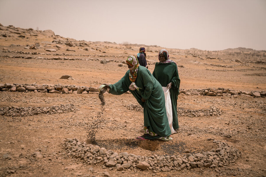 Farmers build 'half moons' which help retain water in Mauritania's Assaba region. Photo: WFP/Evelyn Fey 