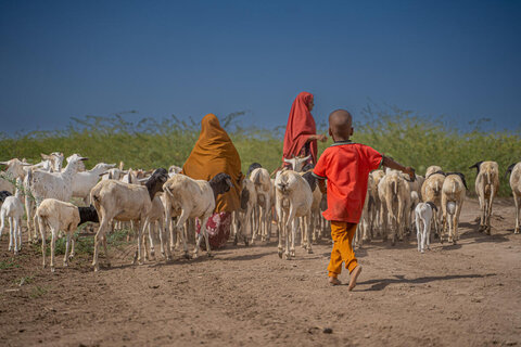 How the Middle East crisis is deepening hunger far beyond the front lines 