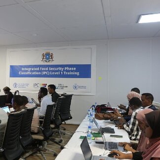 Joint training on the Integrated Food Security Phase Classification for Government, UN and NGO colleagues in Mogadishu, Somalia. Photo credit: WFP/Fatima Hirsi